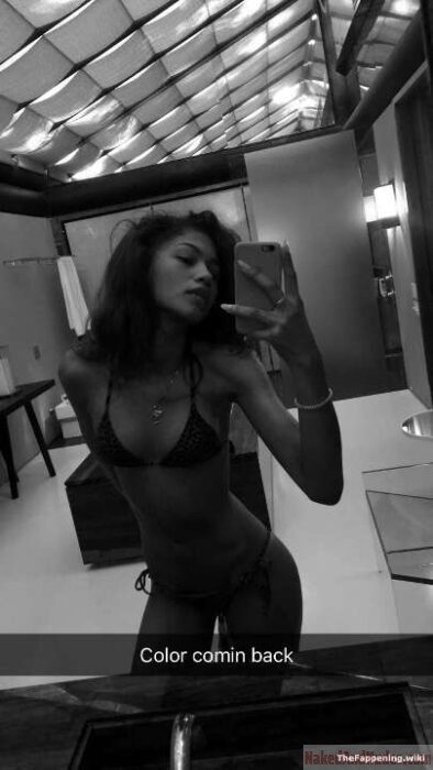 Zendaya in bikini